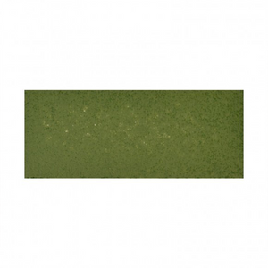 TSUKINEKO Versa Fine Claire Ink Pad - Shady Lane (552) Quick-drying Oil-based Pigment Stamp Pad