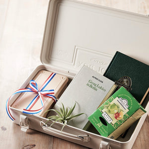 Toyo T-360 Metal Storage Case - Off White