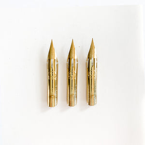 Zebra G - Comic G Nib - Titanium