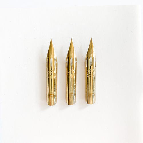 Zebra G - Comic G Nib - Titanium